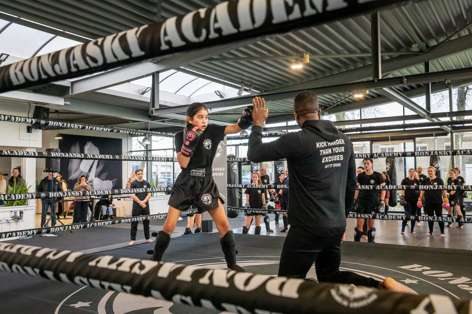 Professionele Coaches